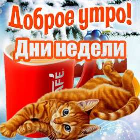 Открытка! Открытки Доброе утро по дням неделям! С понедельника по воскресенье! Пожелания от души!