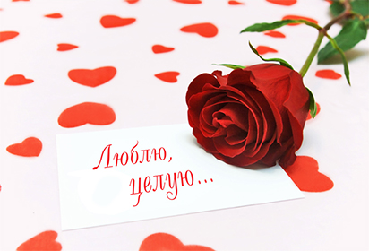 Открытка! Открытки Я тебя люблю! Признания в любви! Красивые пожелания в картинках для любимых!