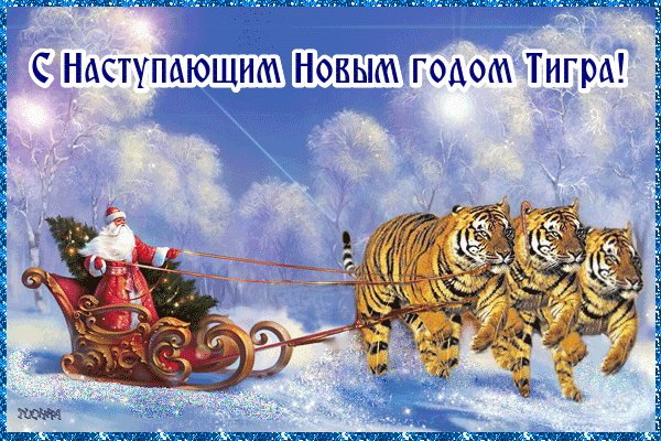 Поздравительная картинка! С новым годом Тигра. Картинка. Поздравление. Слышишь рычание тигра? Это приближается Новый год, Год...