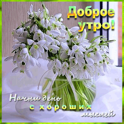 Открытка! С добрым утром. Картинка доброго утра. С добрым утром тебя! Смело ныряй в новый день, и пусть он...