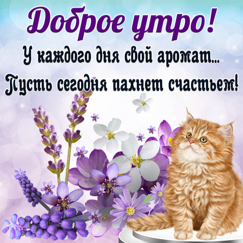 Открытка! С добрым утром в России! Открытка от души! Привет! Солнышко встало, и ты вставай! Пусть новый...