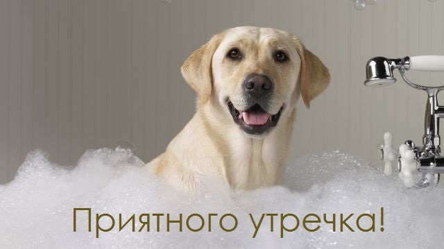Красивая картинка! С добрым утречком! Всем счастья, любви, радости и добра! Классная открытка! Я хочу пожелать тебе, от всего сердца, самого доброго утра...