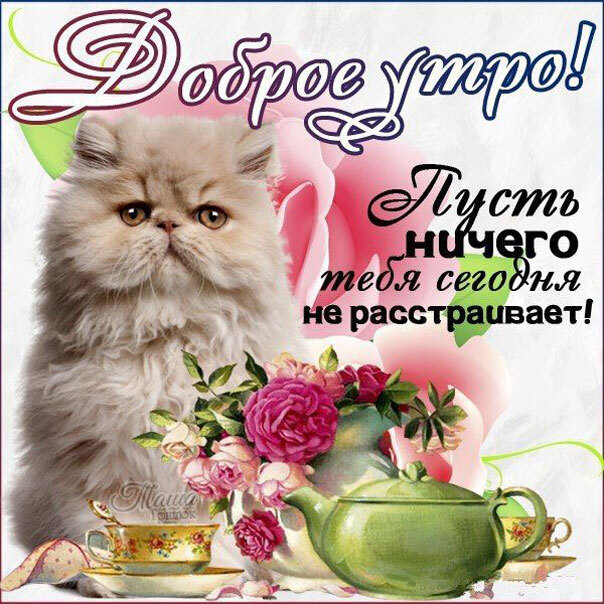 Красивая картинка! Лучшее пожелание с добрым утром! Красивая картинка! Просыпайся: мир так интересен, и он зовёт тебя! Пусть...