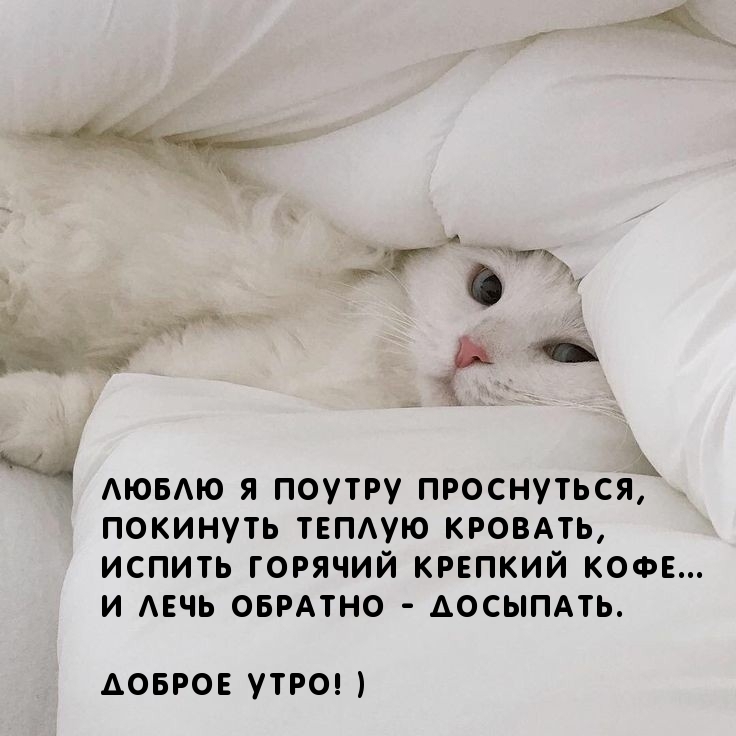 Красивая картинка! От всей души пожелание доброго утра, открытка прекрасного начала дня! Дорогой, с добрым утром тебя. Сегодня прекрасный день...