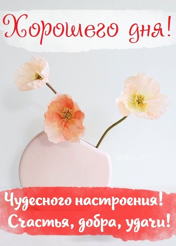 Новая картинка! Пожелание доброго дня! Красивая открытка! Наша жизнь состоит из дней и моментов. Поэтому есть смысл...