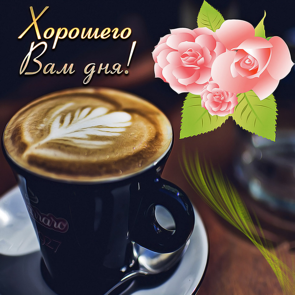 Картинка! Добрый день, россияне! Прекрасного всем дня! Какая бы не была погода за окном, и чтобы не скрывалось на...