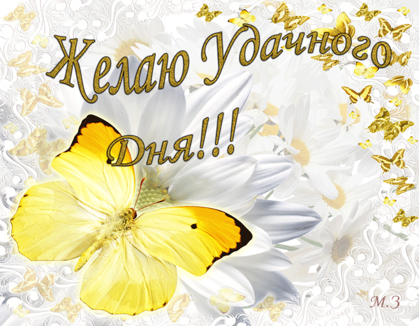 Новая картинка! Добрый день, россияне! Прекрасного всем дня! Пусть каждый день становится новым стартом, шансом для...