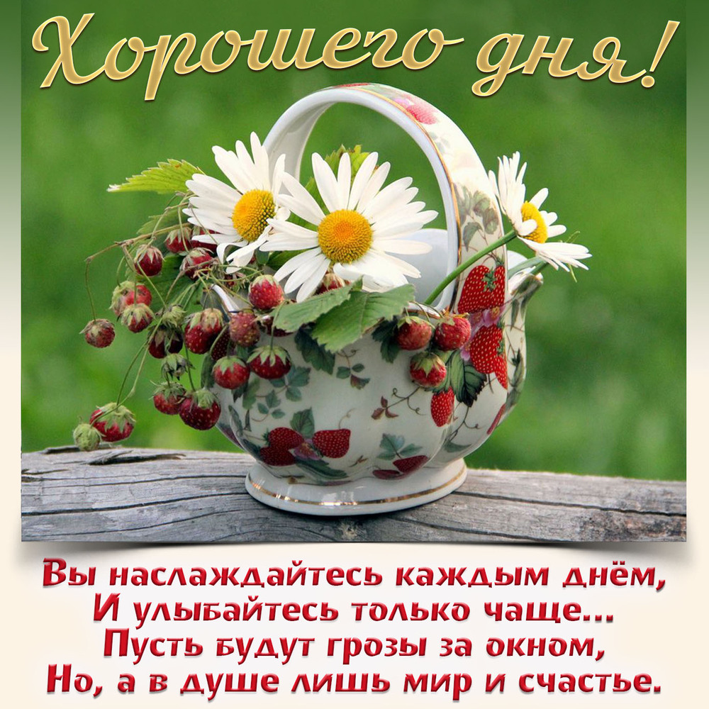 Новая открытка! Добрый день, россияне! Прекрасного всем дня! Желаю приятного, расслабляющего, наполненного прекрасными...