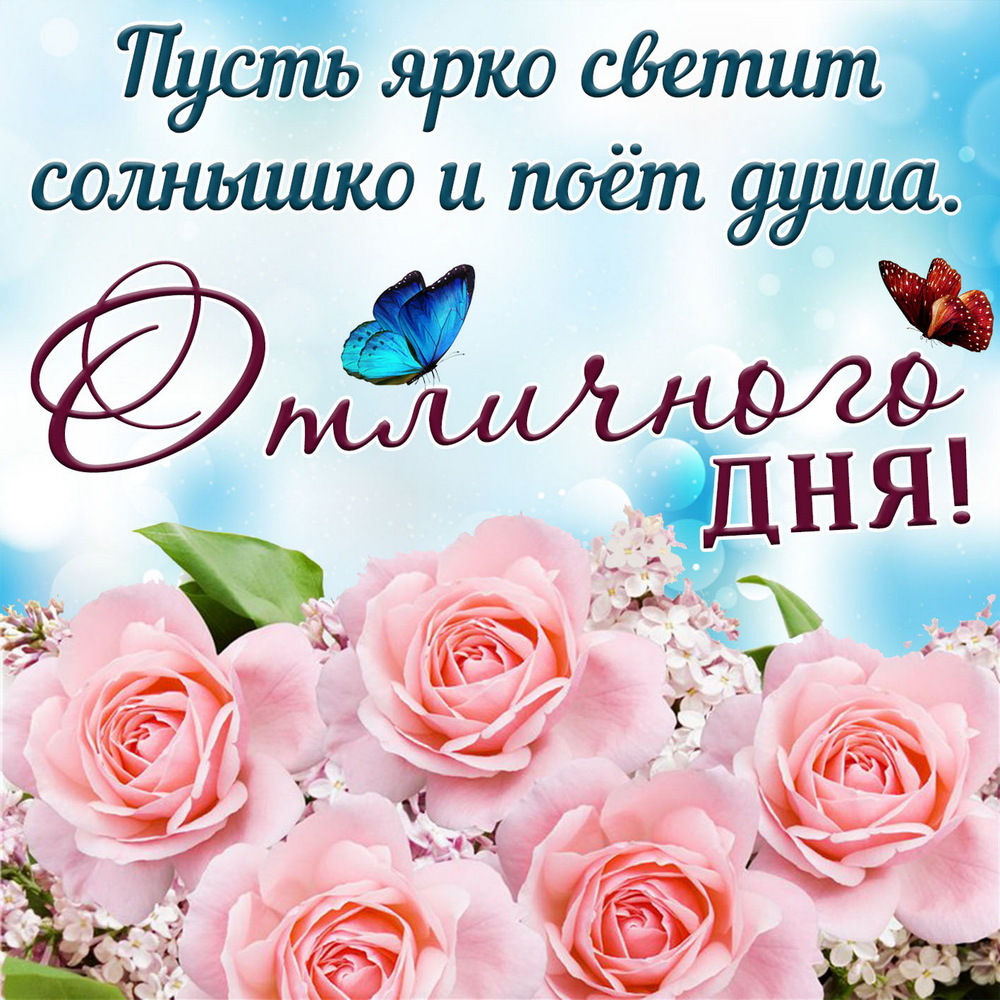 Новая открытка! Добрый день! Всем счастья, любви, радости и добра! Классная открытка с пожеланием хорошего дня! Кто-то видит счастье в работе, кто-то в семье, кто-то в...