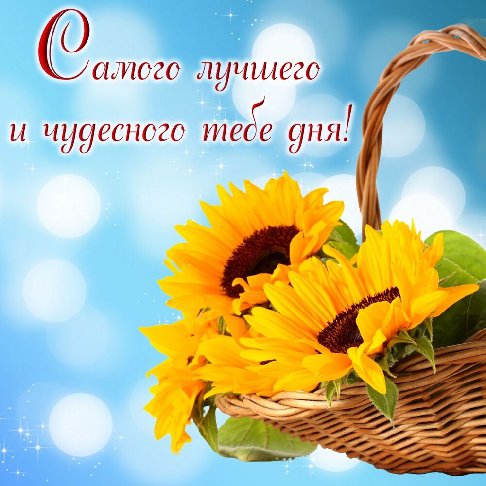 Новая картинка! От всей души пожелание прекрасного дня, открытка доброго дня! Пусть удача не имеет шансов ускользнуть от вас, пусть...