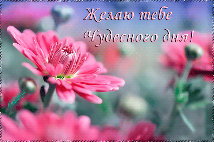 Новая открытка! Хорошего дня. Картинка с пожеланием доброго дня. От всей души желаю тебе крепкого здоровья, сильного духа и...
