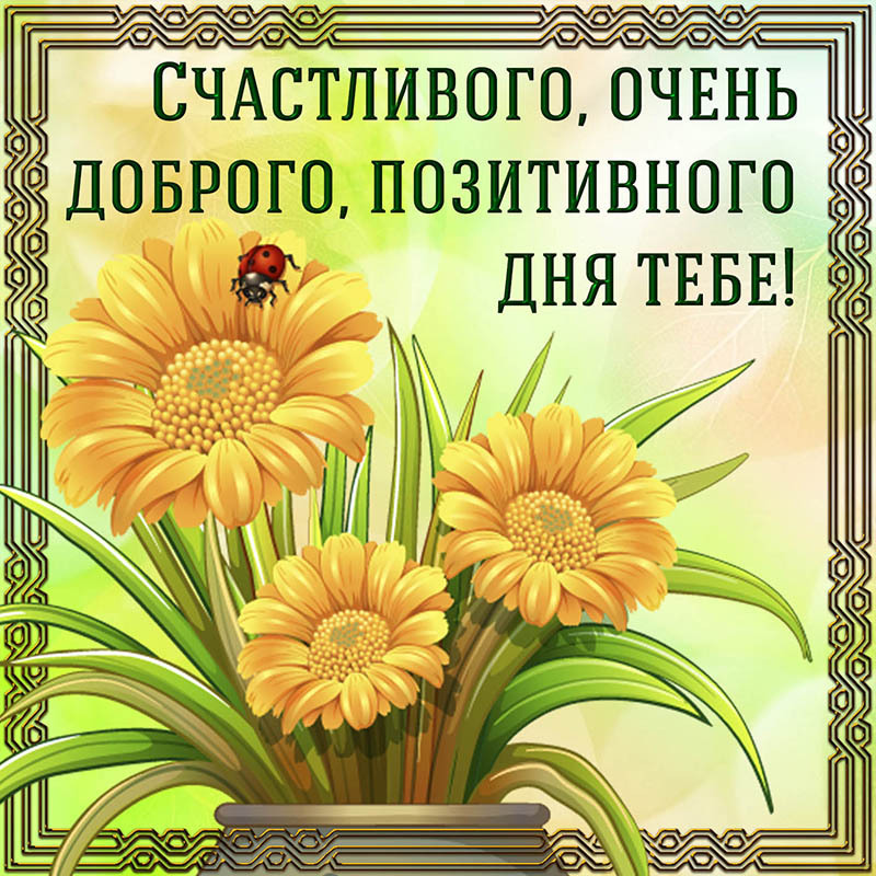Новая открытка! Добрый день! Всем счастья, любви, радости и добра! Классная открытка с пожеланием хорошего дня! Счастье — тончайшая, удивительная материя. Его...