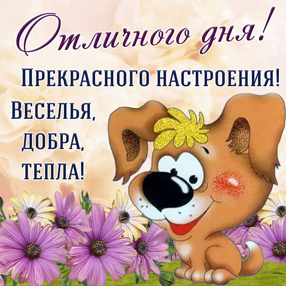 Открытка! Добрый день, россияне! Прекрасного всем дня! Хочу вам пожелать, чтобы как можно реже вам на пути...