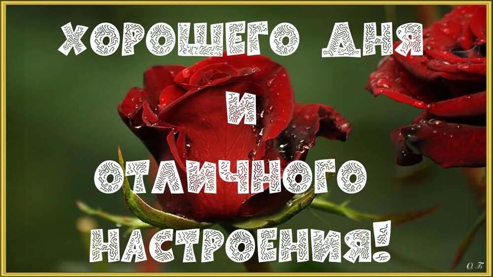 Открытка! Лучшее пожелание отличного дня! Красивая картинка! Хочется сказать море ласковых слов и пожелать только...