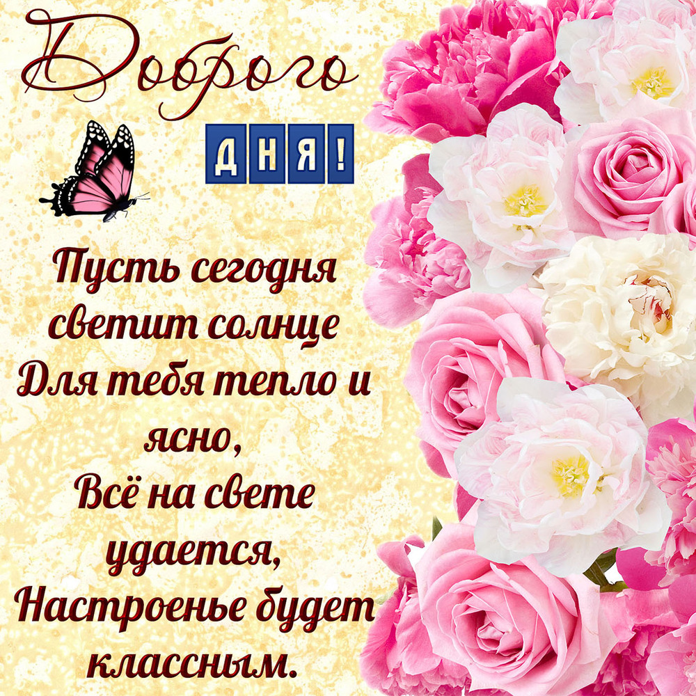 Новая картинка! Добрый день, россияне! Прекрасного всем дня! Я желаю тебе удачи, пусть твой путь к успеху будет легким и...