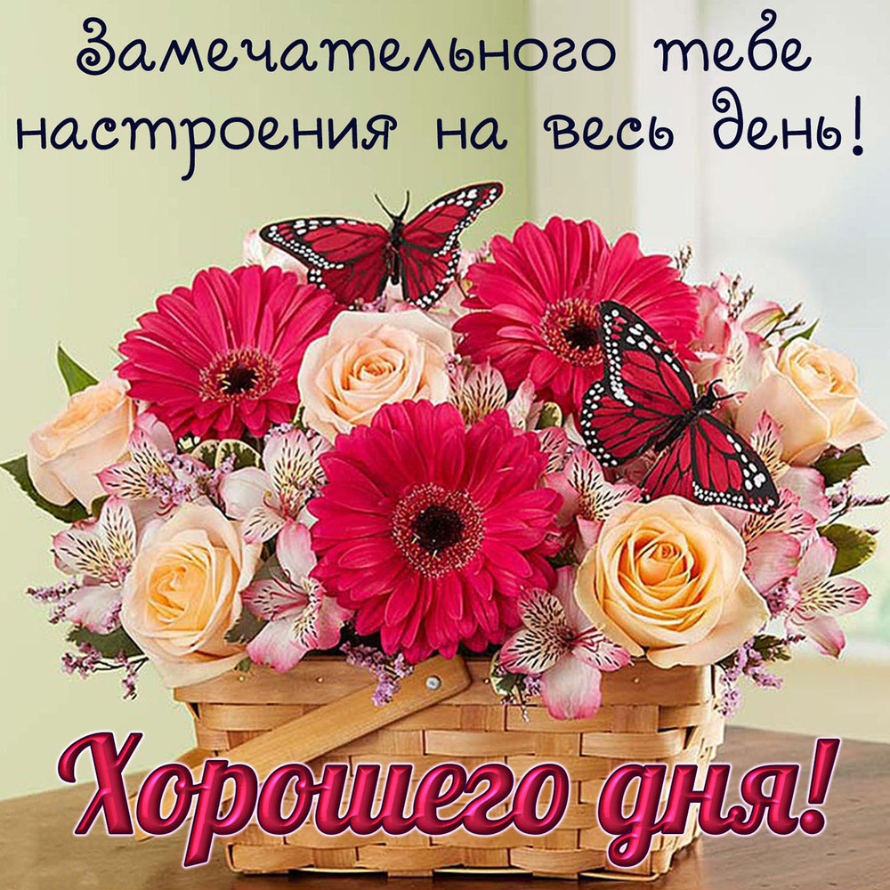 Новая открытка! Добрый день, россияне! Прекрасного всем дня! Человек рожден для счастья. А оно невозможно без любимой...
