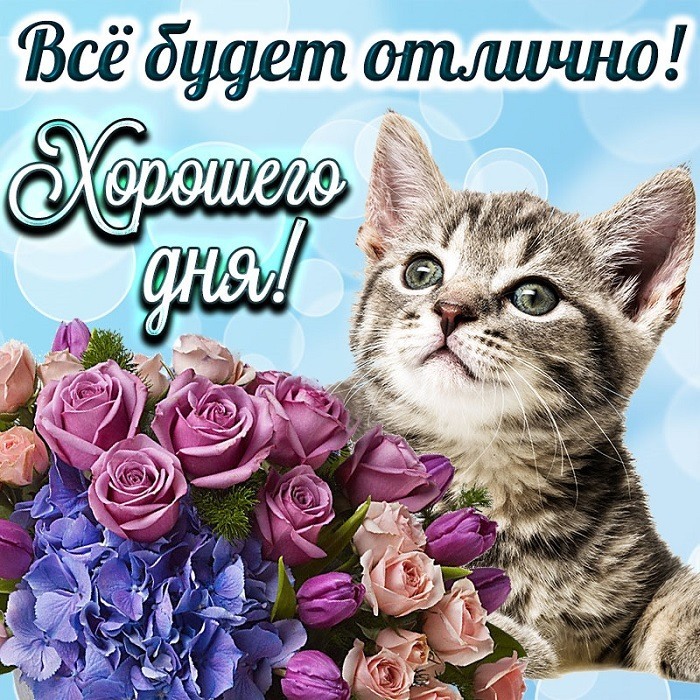 Открытка! Хорошего дня. Картинка с пожеланием доброго дня. Желаю тебе вселенского благополучия: мешки денег, яхты и...