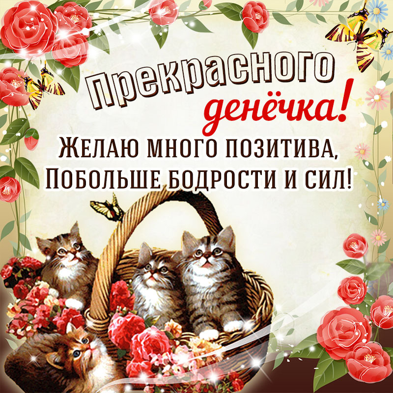 Открытка! Хорошего дня. Картинка с пожеланием доброго дня. В самый счастливый день — самые чудесные пожелания...