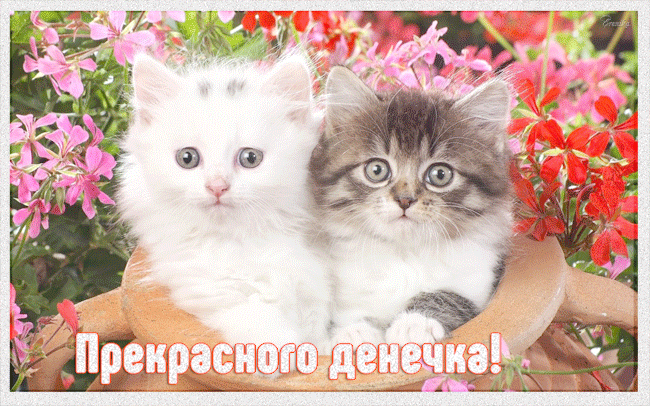 Открытка! Хорошего настроения. Картинка с пожеланием чудесного настроения. Желаю, чтобы каждый день начинался с улыбки и с ожиданием...