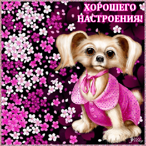 Новая картинка! От всей души пожелание прекрасного настроения, открытка хорошего настроения! Желаю, море добра, океан удачи и целую гору счастья! Пусть...