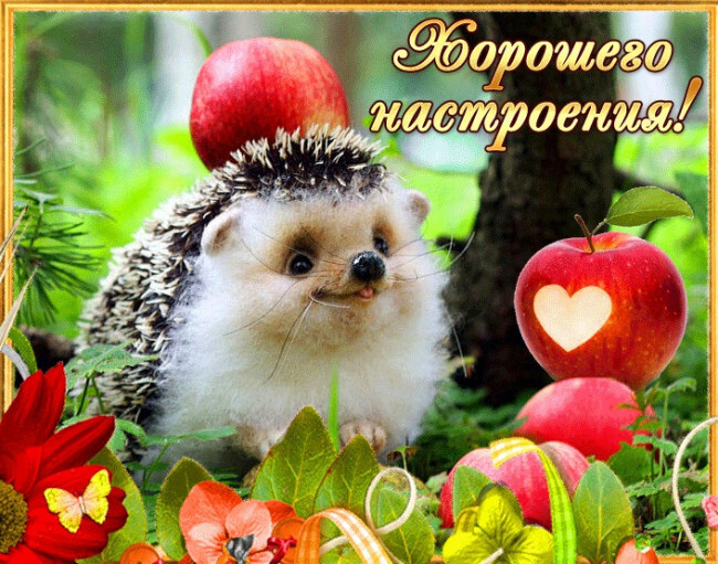 Картинка! Хорошего настроения! Открытка от души! Счастье похоже на маленькое ручное солнышко, которое светит...