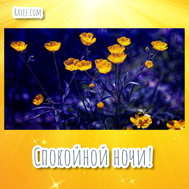 Новая открытка! Спокойной ночи, страна. Красивая открытка и пожелание на ночь. Уходит день, насыщенный встречами, разговорами, заботами...