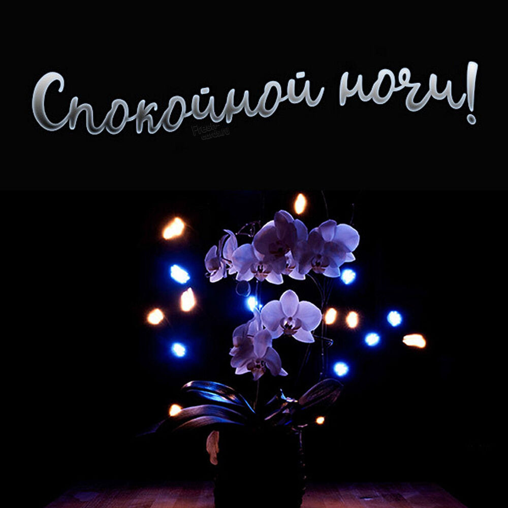 Открытка! Сладких снов, россияне! Спокойной всем ночи! Спокойной ночи, дорогая. Желаю, чтобы сегодня в твой сон...