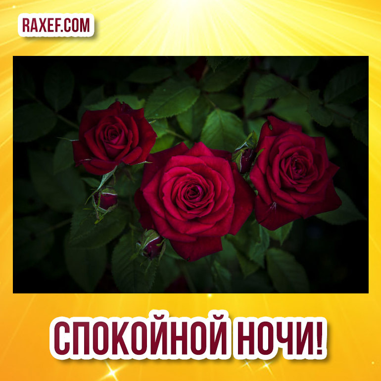 Открытка! От всей души пожелание спокойной ночи, открытка сладких снов! Ночь — особое время, таинственное, полное грёз и...