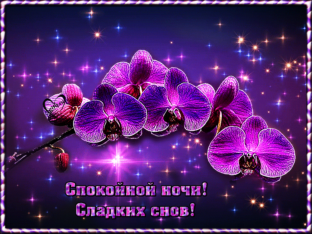 Новая картинка! Споки ноки. Картинка спокойной ночи. Надеюсь, уходящий в историю день не разочаровал тебя? Желаю...