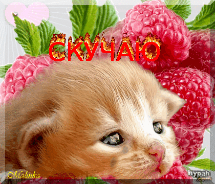 Новая картинка! Скучаю! Как-то одиноко без тебя! От чистого сердца! Открытка Я Тебя люблю! Безумно скучаю по моему милому, хочу прижаться к тебе всем...