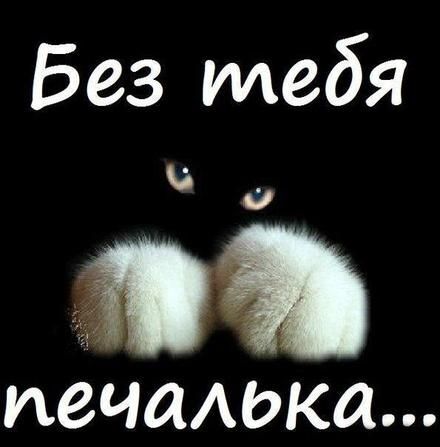 Новая картинка! Я по тебе скучаю! Сердечная открытка! Дорогой! Я без ума от тебя, твоей улыбки, походки...