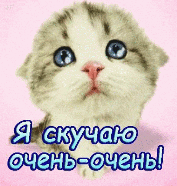 Открытка! Я скучаю сильно по Тебе! Красивая открытка! Грустно. Я Тебя люблю! Не могу я думать, дышать, работать и существовать…...