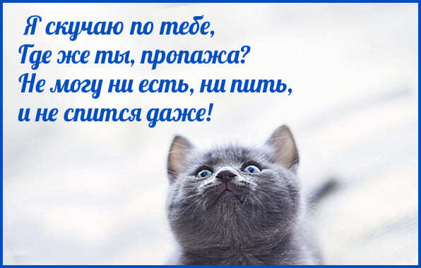 Картинка! Любовь! Плохо без тебя! Скучаю! Я Тебя люблю! Красивая открытка с признанем в чувствах! Кажется, с минуты нашего прощанья прошла вечность. Так...