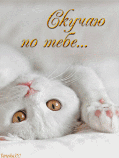 Открытка про любовь! Скучаю без Тебя! Признание в своих чувствах! Я Тебя люблю! Открытка! Среди берегов серости и печали мы нашли с тобой солнечный...