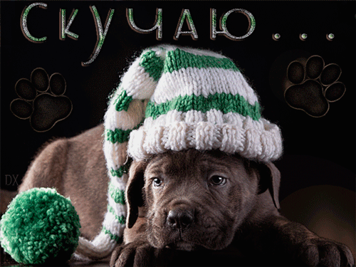 Открытка про любовь! Плохо без тебя! Скучаю! Я Тебя люблю! Красивая открытка с признанем в чувствах! Я знаю тебя, я помню о тебе все — твой взгляд, твой...