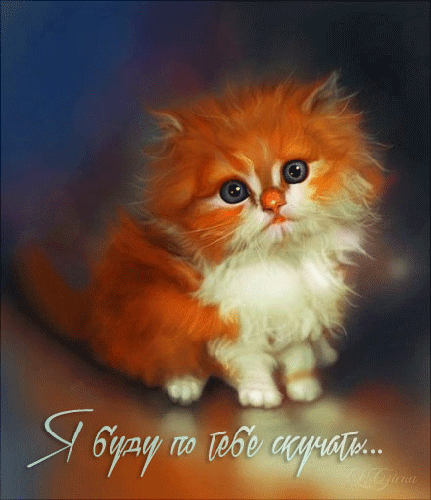 Новая открытка! Скучаю! Так хочется быть рядом с тобой! Грустно без тебя. Красивая открытка и слова. Как жаль, что время и расстояние разлучают нас с тобой...