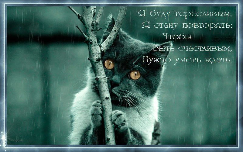 Новая открытка! Скучаю! Так хочется быть рядом с тобой! Грустно без тебя. Красивая открытка и слова. Сутки стали казаться длиннее от того, что очень не хватает...