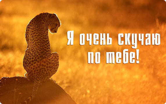 Новая картинка! Скучаю! Как-то одиноко без тебя! От чистого сердца! Открытка Я Тебя люблю! Тебя сегодня нет рядом, и все валится из рук. Все идет не...
