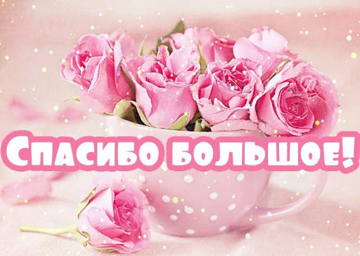 Картинка! Спасибо за всё! Так приятно! Красивая картинка. Дорогой учитель! У вас идёт нелегкая совместная работа с...