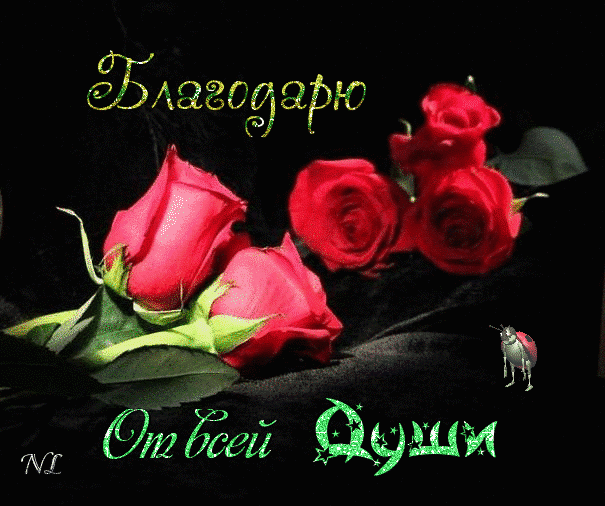 Открытка! От души благодарю! Сердечная открытка! От всей души благодарю вас за понимание! Искренне благодарю...