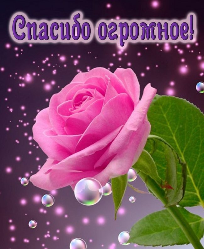 Открытка! Я говорю спасибо! Открытка от души! Очень приятно получать подарки, когда их не ждут, когда...
