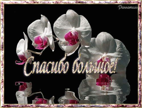 Картинка! От души благодарю! Сердечная открытка! Первоклассному специалисту, отличному сотруднику выношу...