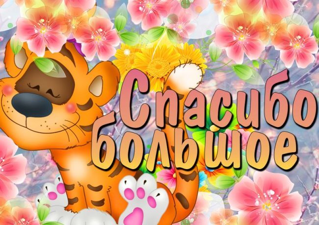 Картинка! Спасибо от души! Красивая открытка! Благодарю! От всей души благодарю Вас за трогательное, уделенное мне...