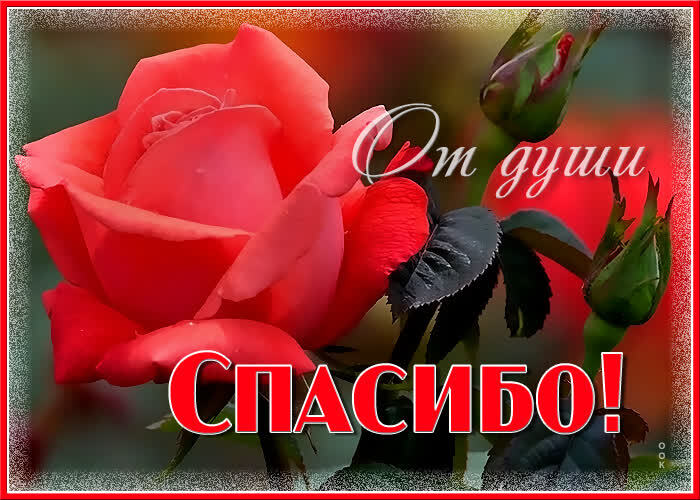 Картинка! Я говорю спасибо! Открытка от души! Примите благодарность душевную и искреннюю за ваши...