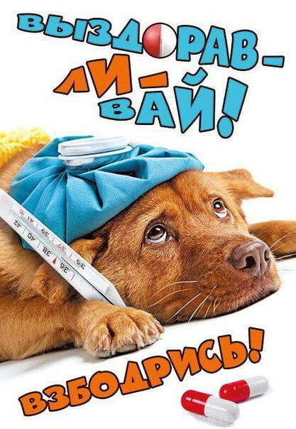 Открытка! Выздоравливай! Сердечная открытка! Смелых мощных иммунных клеток тебе желаю в сегодняшнюю...