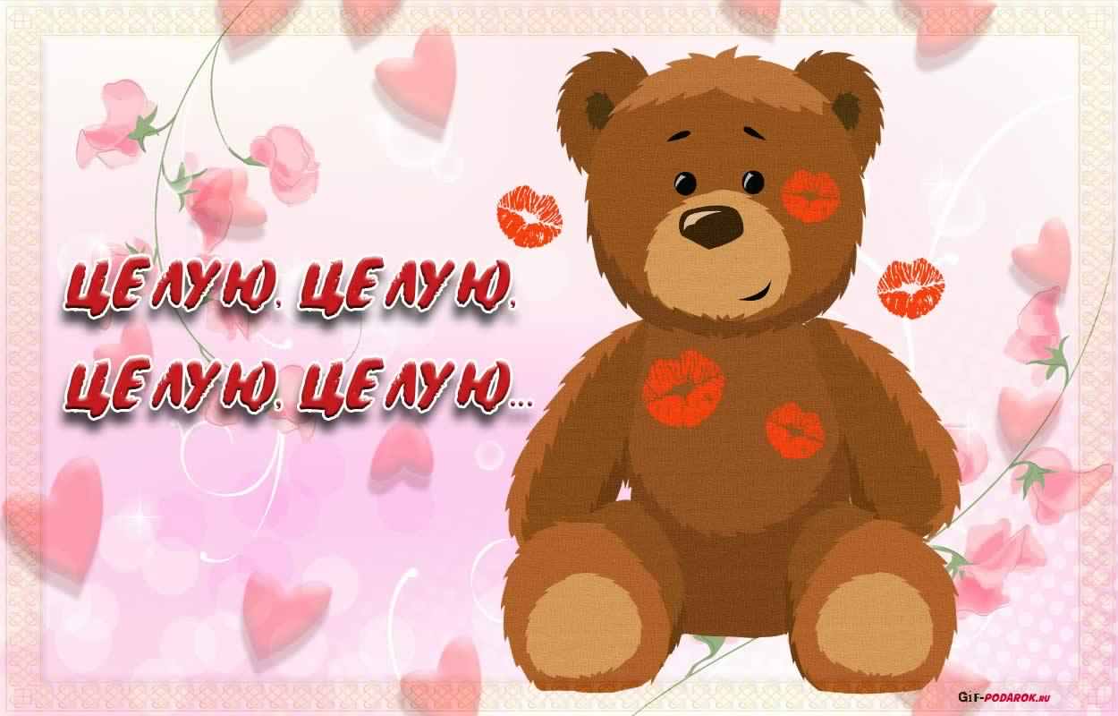Открытка! Целую тебя! Открытка! Ты шаловливый, лиричный, любопытный, практичный...