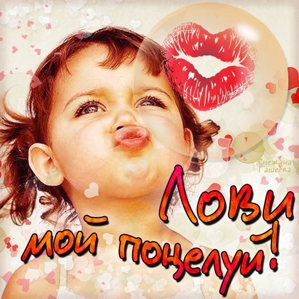 Картинка! Целую! Открытка! Никак не могу перестать любоваться твоим невероятным...