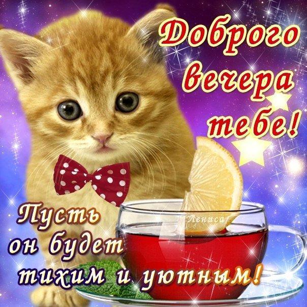 Открытка! Добрый вечер! Открытка! Без хорошего настроения нет счастливой жизни, без хорошего...