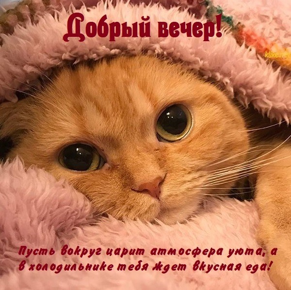 Открытка! От души! Добрый вечер! Сердечная открытка! Пусть каждый день становится новым стартом, шансом для...