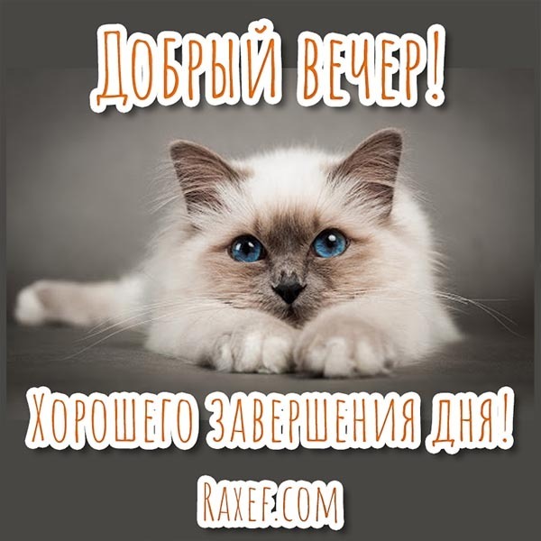 Открытка! С добрым вечером! Открытка на вечер! Желаю хорошего воскресенья! Каждый новый день неповторим —...